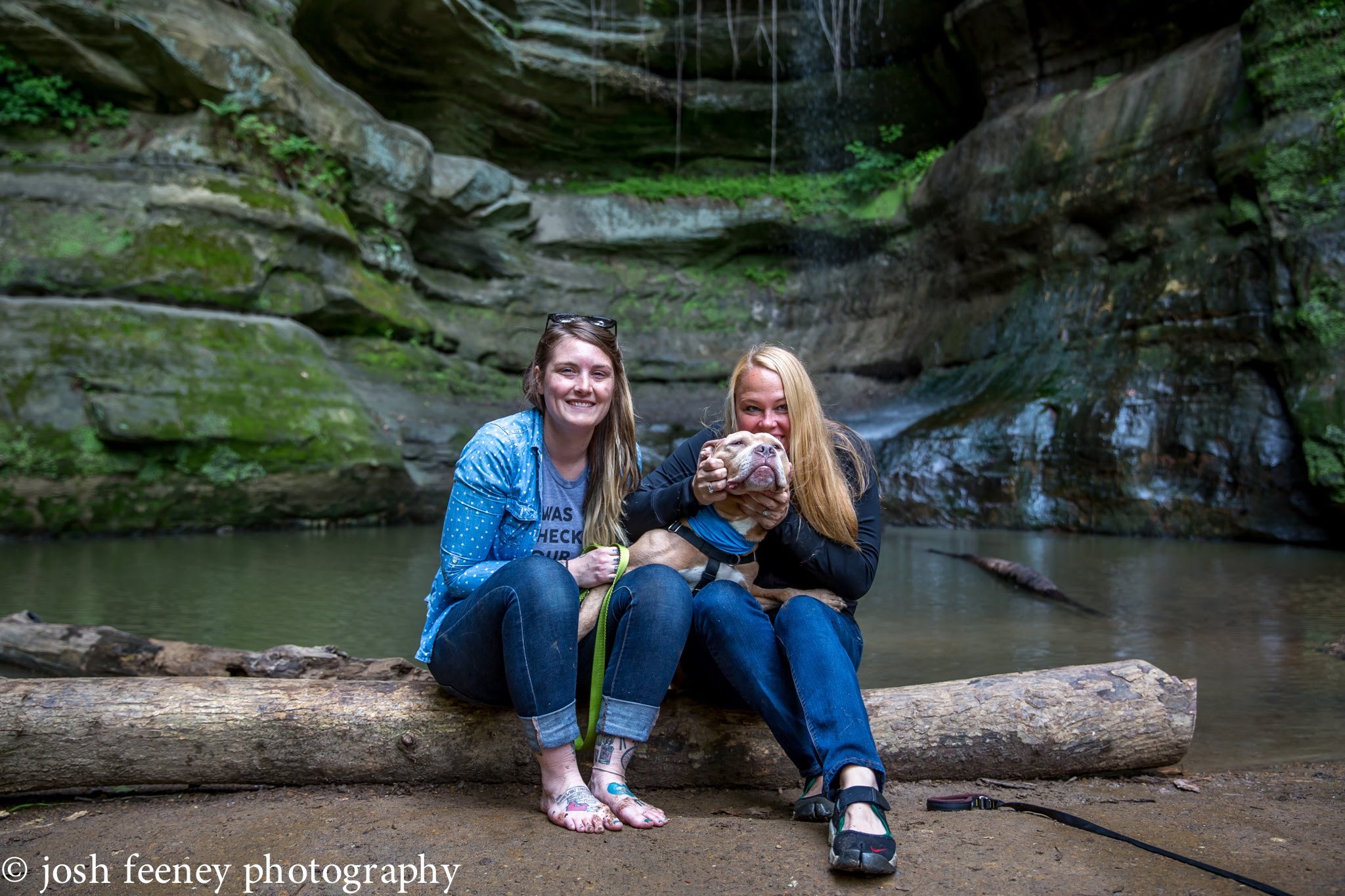 VIDEO: Bolesni djedica pit bull ostavljen je u azilu da umre, a onda mu je zasjala sretna zvijezda!