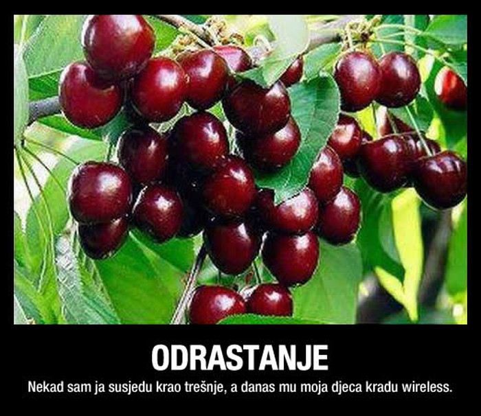 Vremena se mijenjaju, krađa od susjeda je i dalje slatka