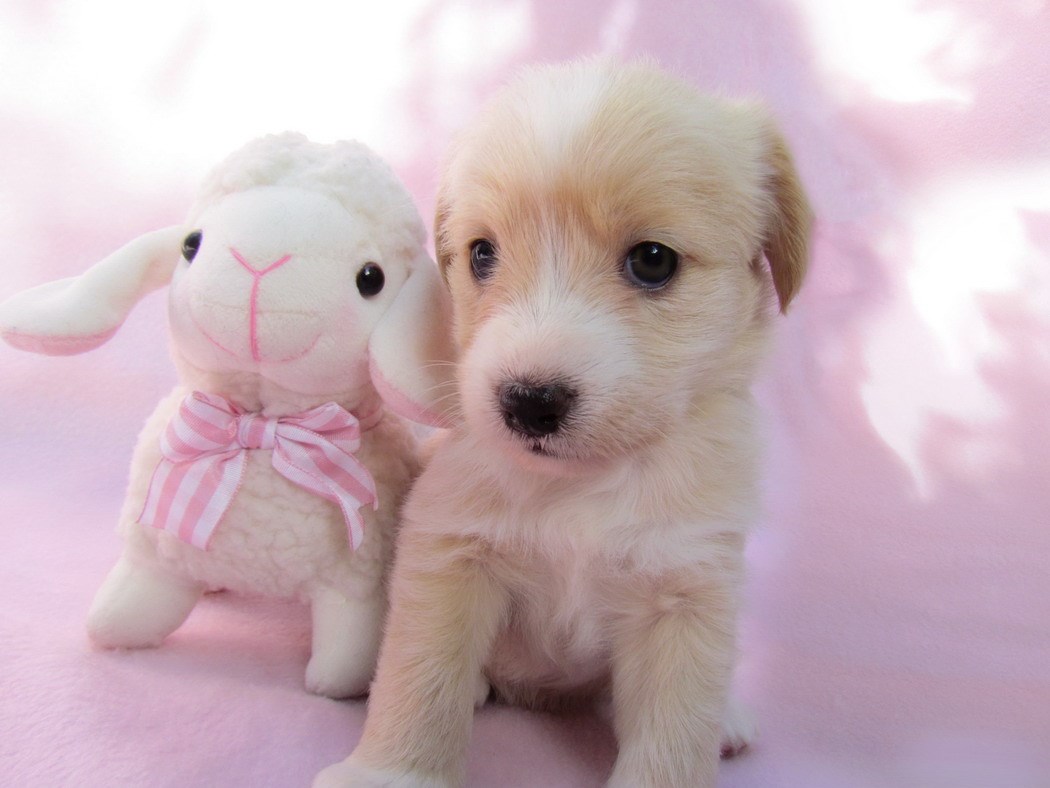 Ofca i ja, prijatelja dva