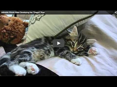 VIDEO: Ne bojte se! Nije toliko strašna kao što zvuči