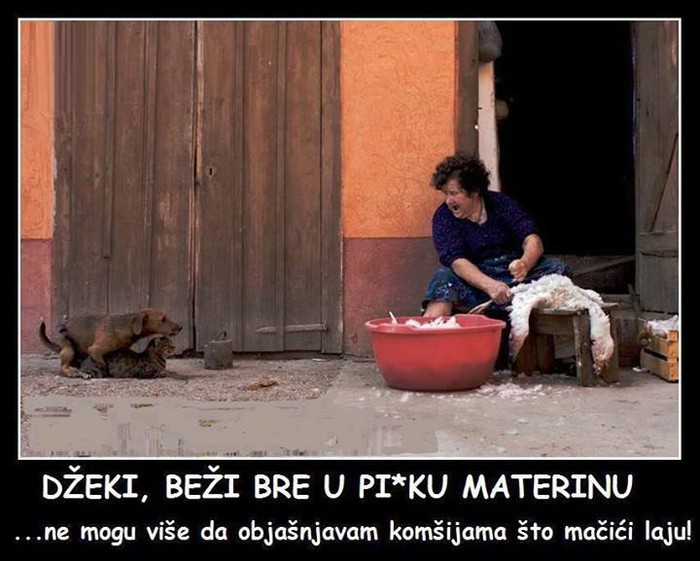Napaljeni Džeki opet ljuti gazdaricu!