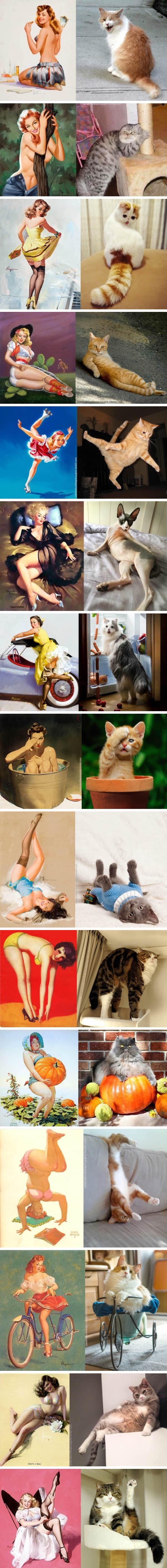 Evo odakle su seksi pin-up "mace" učile poze!