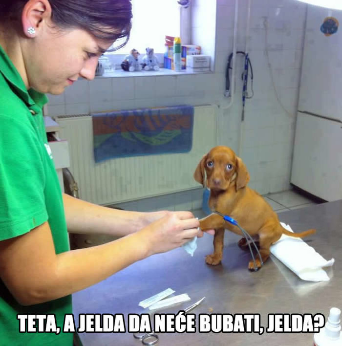 Neviđena hrabrost!