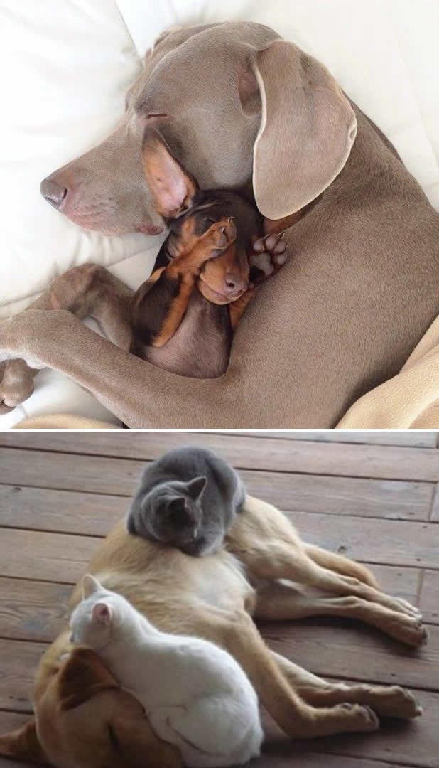 Ljepota različitosti je svima u korist