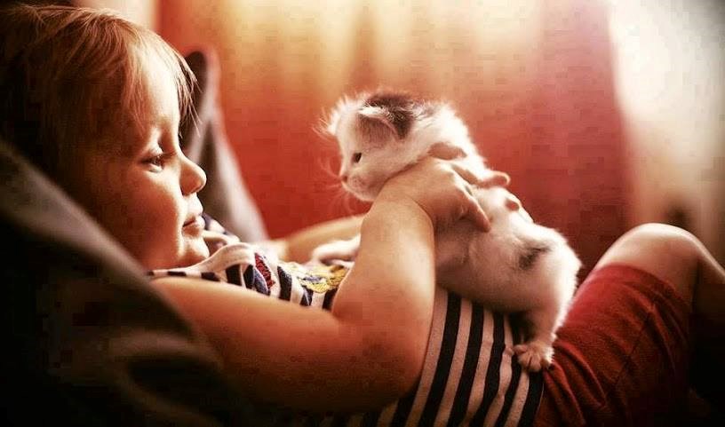 Maco moja, ja ću tebe čuvati i paziti i nikome te ne dam!