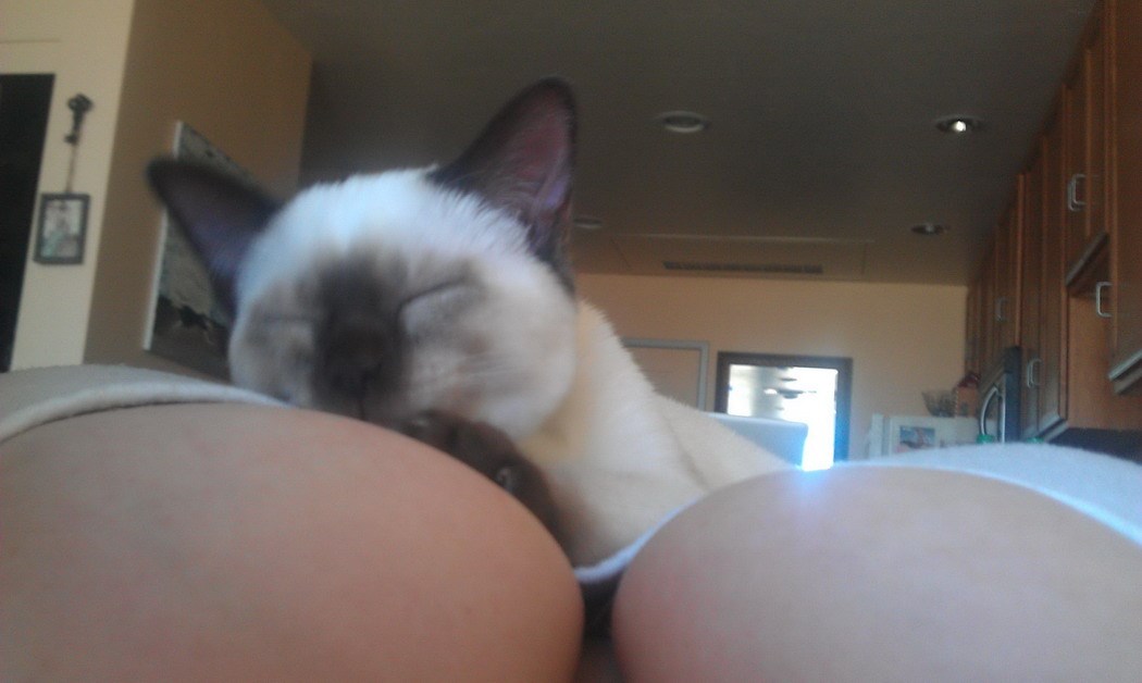 Odmor kakav bi i bogovi poželjeli