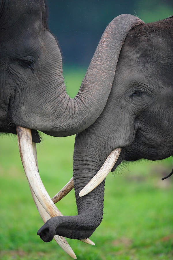 Puno strpljenja i poneki zagrljaj..