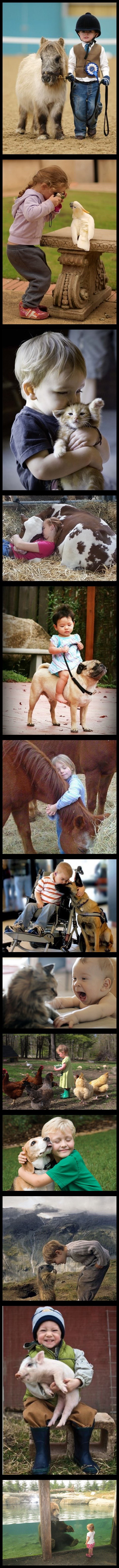 Oni su pronašli najljepši jezik, jezik ljubavi!