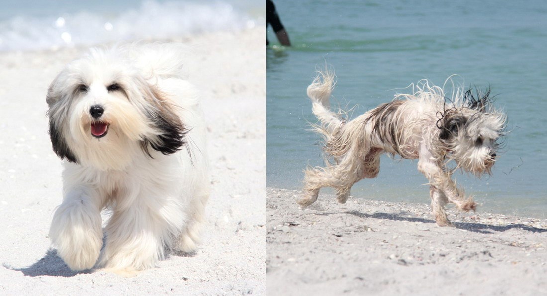 Brzo mu prisjelo kupanje