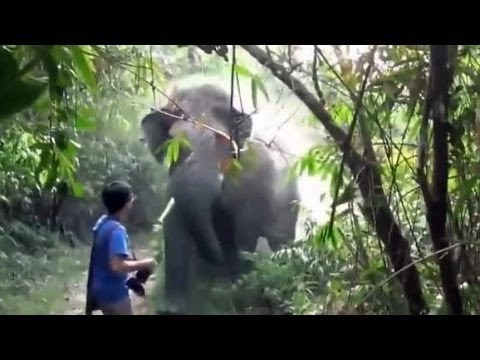 VIDEO: Konačno pravi primjer kako se treba ponašati na njihovom terenu