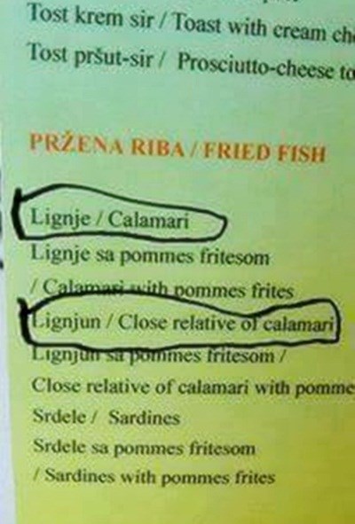 Tragikomični hrvatski prijevodi: Opet nas sramote pred turistima