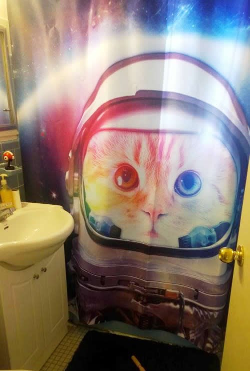 Mačkoljupci, navalite!