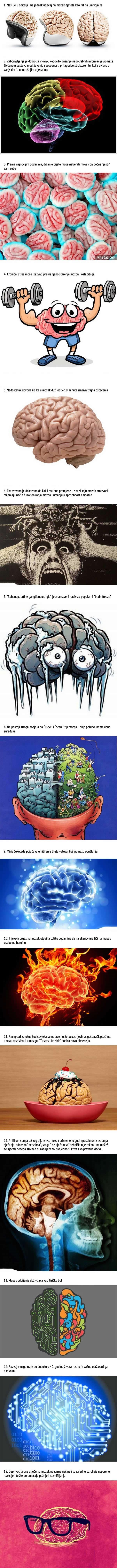 Top 15 neobičnih činjenica o ljudskom mozgu