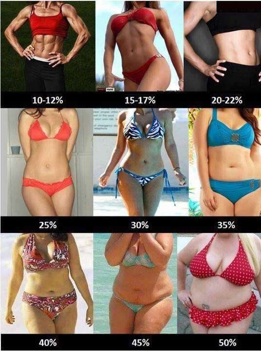 Ljudsko tijelo s različitim postocima masti