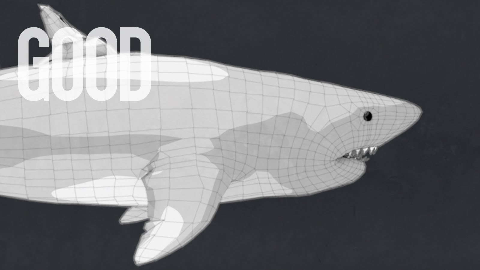 VIDEO: Najopasnije životinje - koja ubije najviše ljudi godišnje?