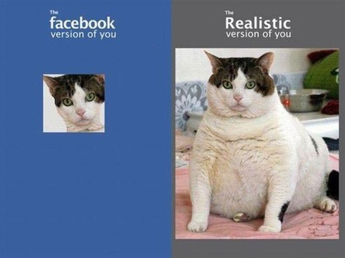 Facebook i stvarnost - riba i bicikl