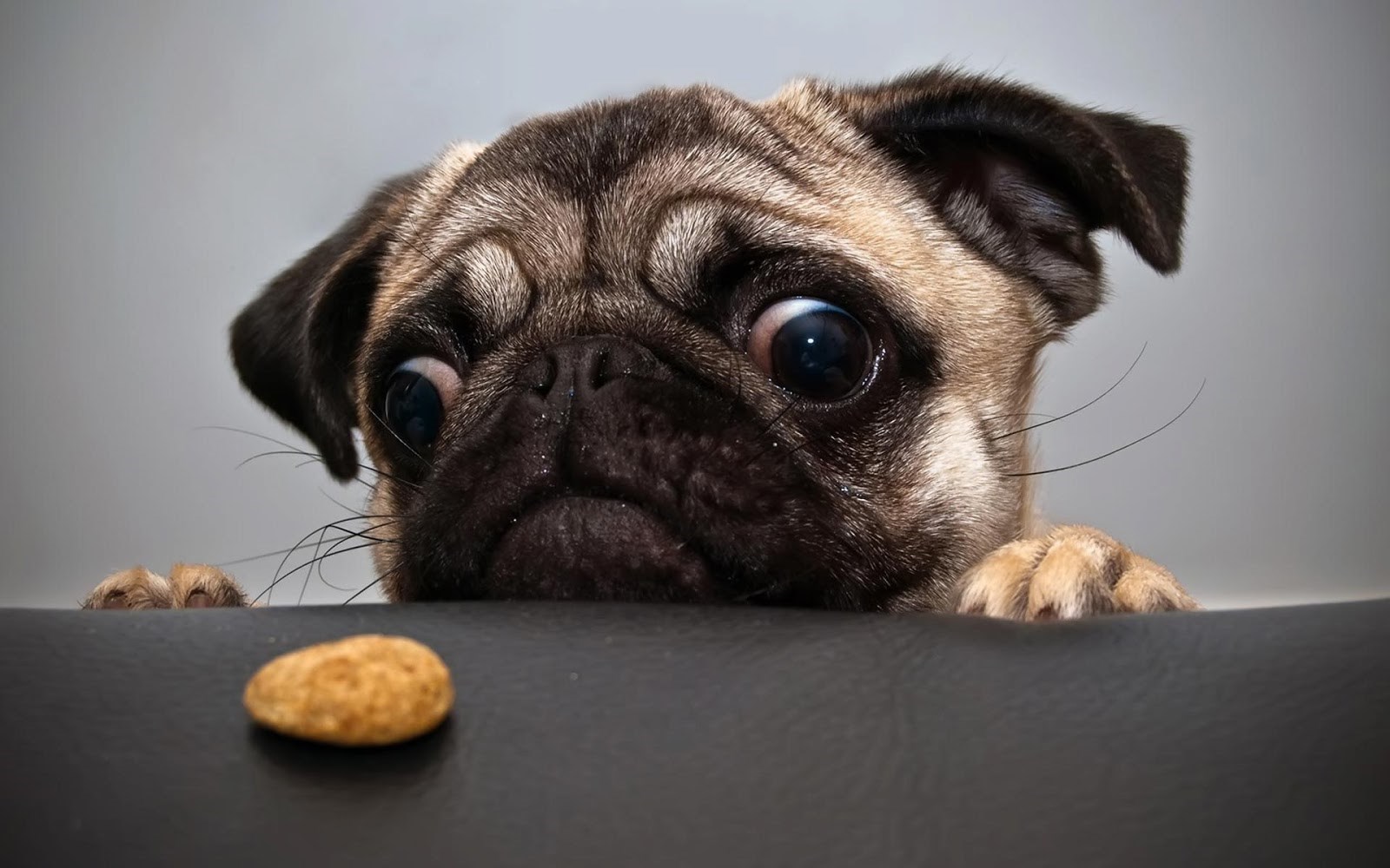 Očaj i nada u istom pogledu