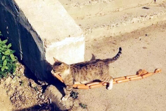 Moderne mace love kobasice