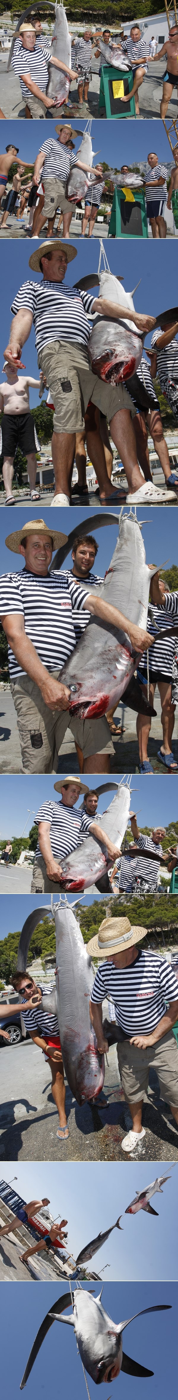 Ribari kraj Jabuke uhvatili morskog psa od 140 kilograma