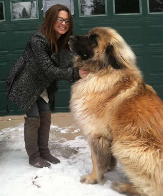 Ah, tako brzo odrastu