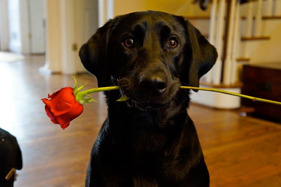 Kad gadno zezneš, on ti je jedina šansa