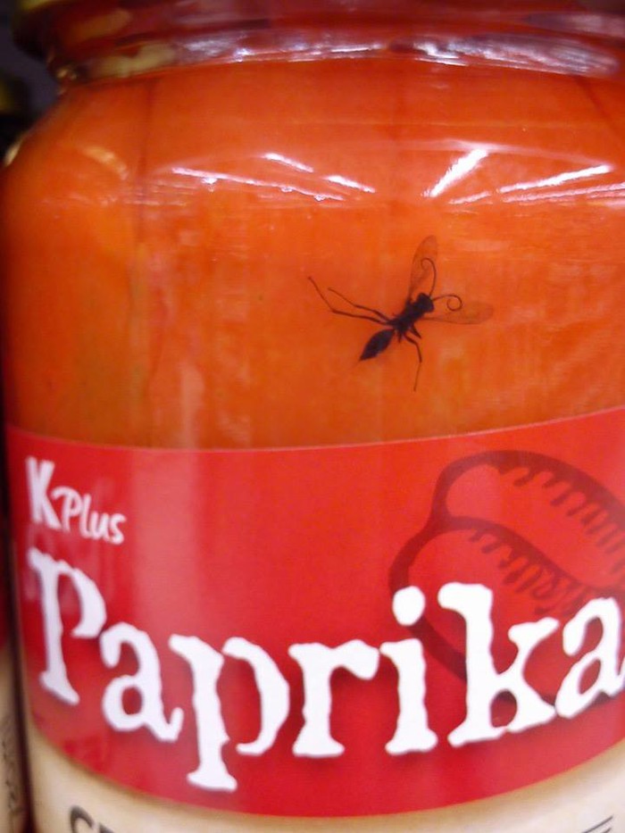 K Plus paprika s "dodanom vrijednosti"