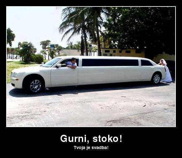 Guraj stoko, tvoja je svadba!