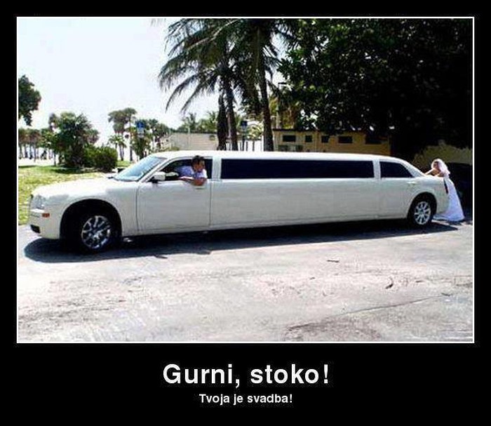 Guraj stoko, tvoja je svadba!