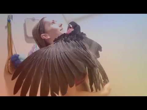 VIDEO Ne može bez svoje ljubimice: Djevojka pokazala kako izgleda tuširanje s velikom papigom!