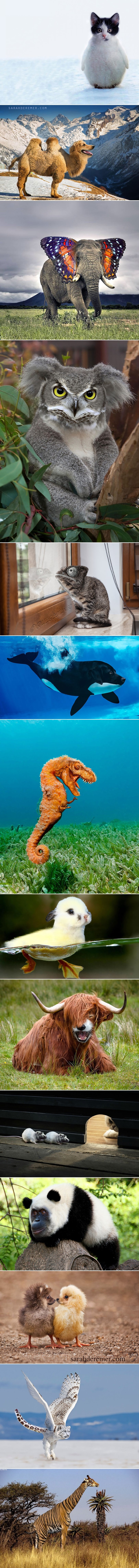 GALERIJA: Kad se majstori Photoshopa dobro napuše