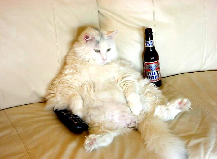 Hrvatski muž nakon buđenja