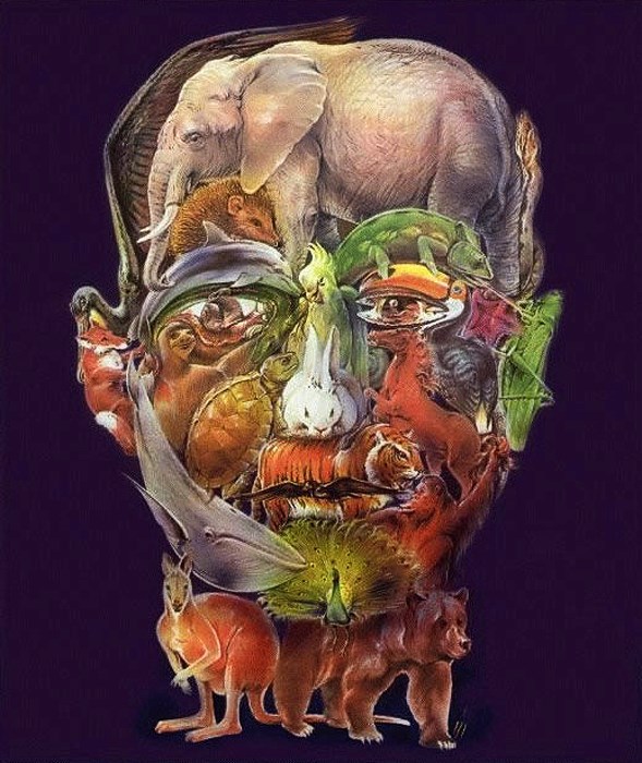 Koliko životinja vidiš na slici?