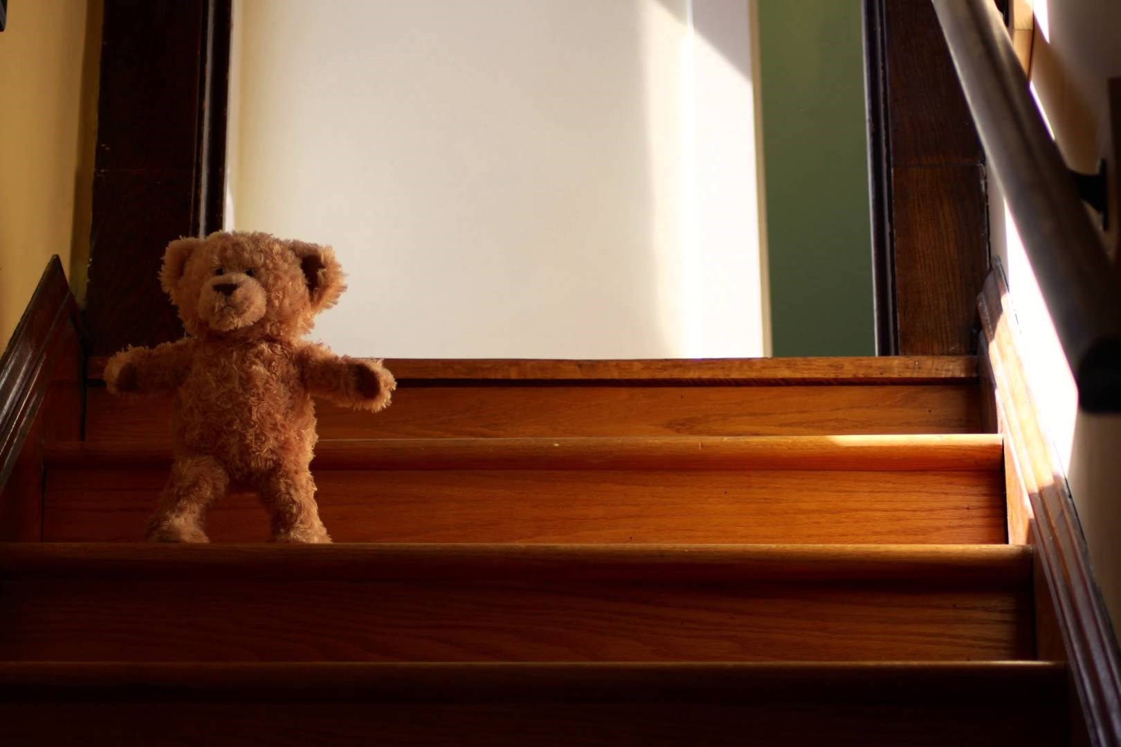 Video: Medi se ispunila želja, stigao je beba prijatelj!