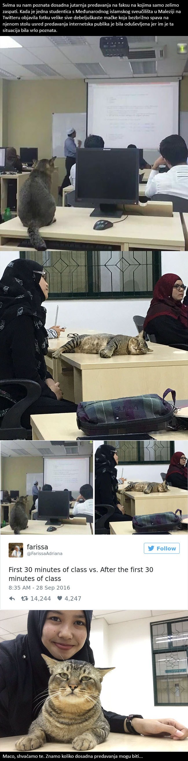 Mačka posjećuje predavanje na fakultetu i čini ono što bi svaki student htio