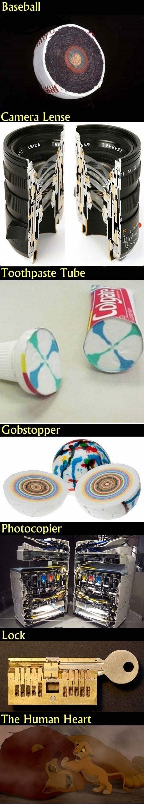 Kako izgleda kopirka prepiljena napola?