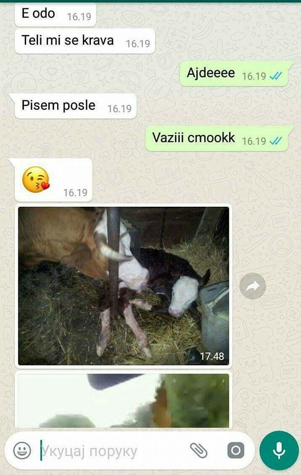 Gradska djeca nikad neće znati kakav je osjećaj kad vam se ovo dogodi usred dopisivanja s djevojkom