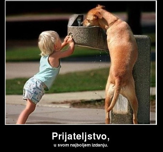 Postoji li ljepše prijateljstvo od ovoga?