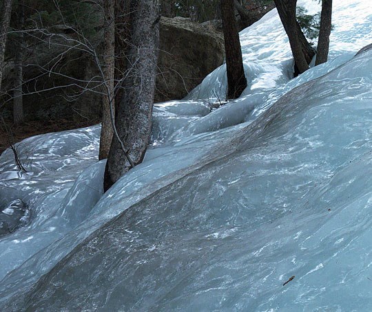Zaleđena rijeka uhvaćena oko drveća po šumi