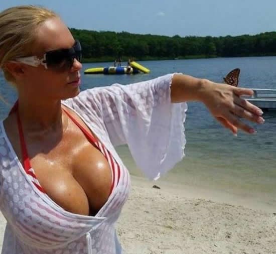 Awwww, prelijepi leptirić!