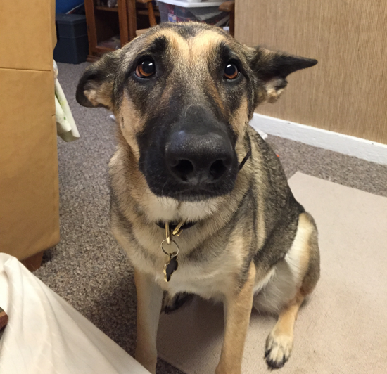 Pogled kad prestaneš sa češkanjem