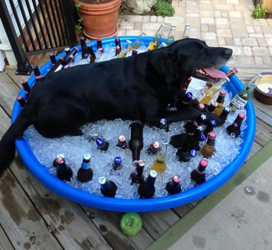 Ljeto je na vratima: Spoji ugodno s korisnim