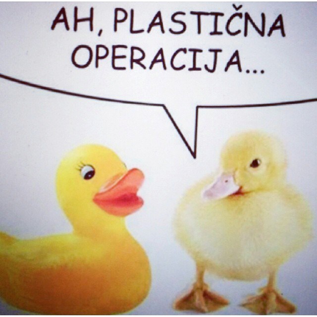 Pošast zahvatila sve i svakoga!