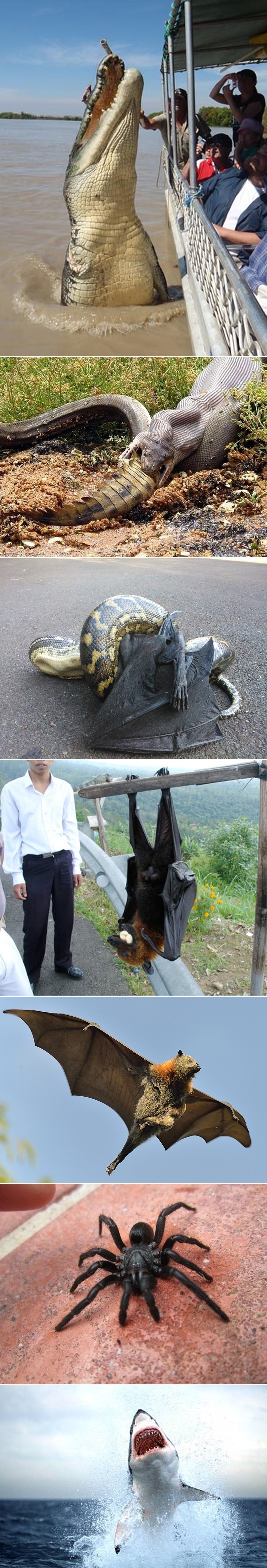 GALERIJA: Dobrodošli u Australiju!