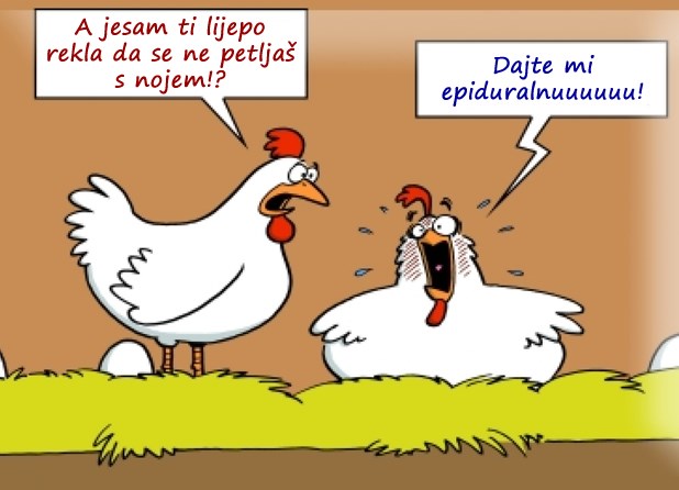 Kad se koka napije i spetlja s nojem