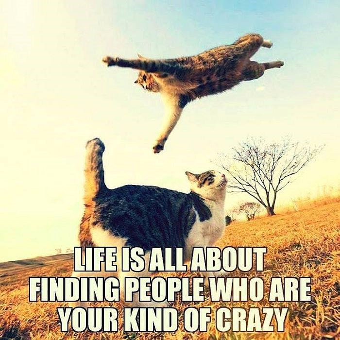 Najbolji prijatelj ti mora biti luckast kao i ti