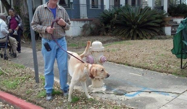 Pas ti jasno kaže što misli o tebi