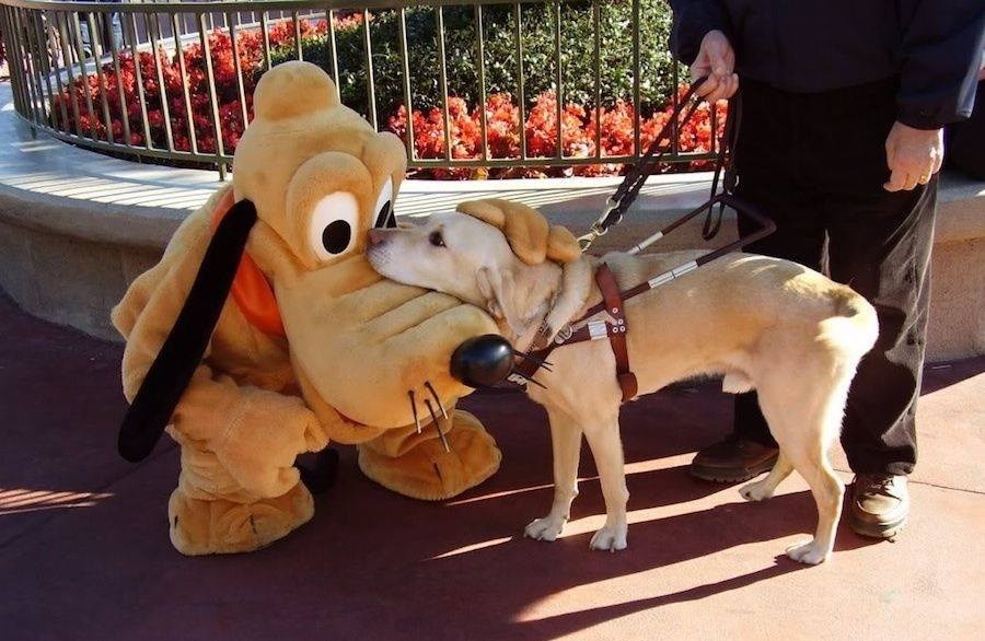 Frende, pa di si ti meni, daj zagrljaj!