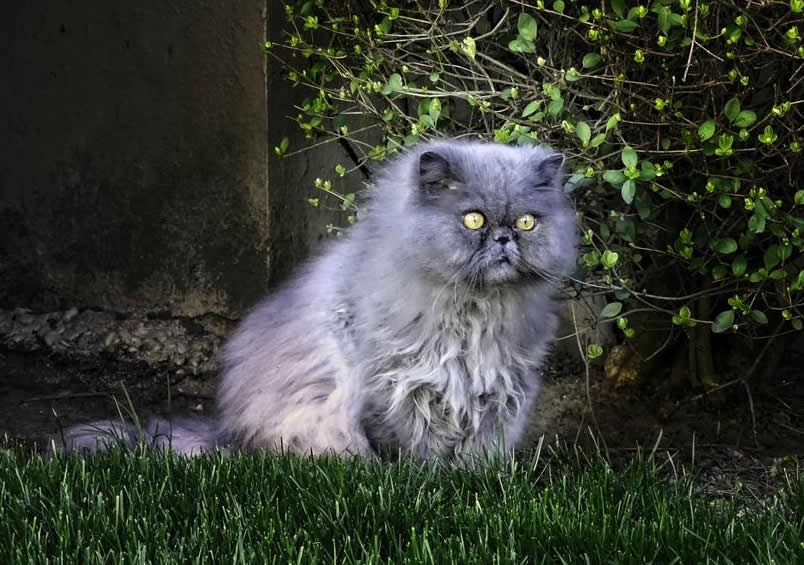 Znači to je ono što zovu "vani".. sve će biti moje!