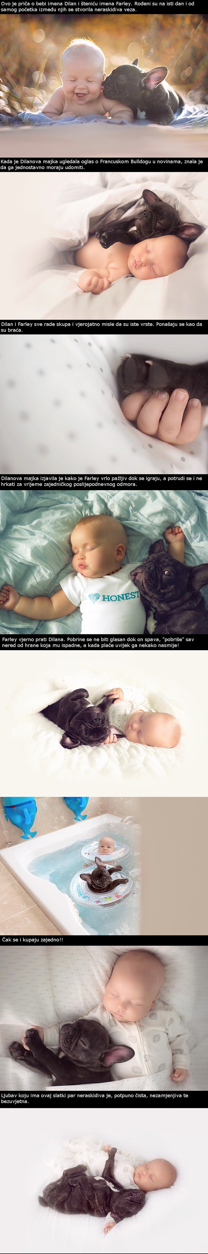 Beba i pas koji su rođeni na isti dan ponašaju se kao braća 