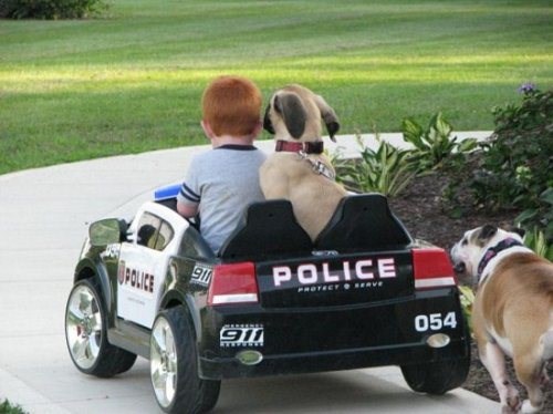 Vesela družina kreće u patrolu